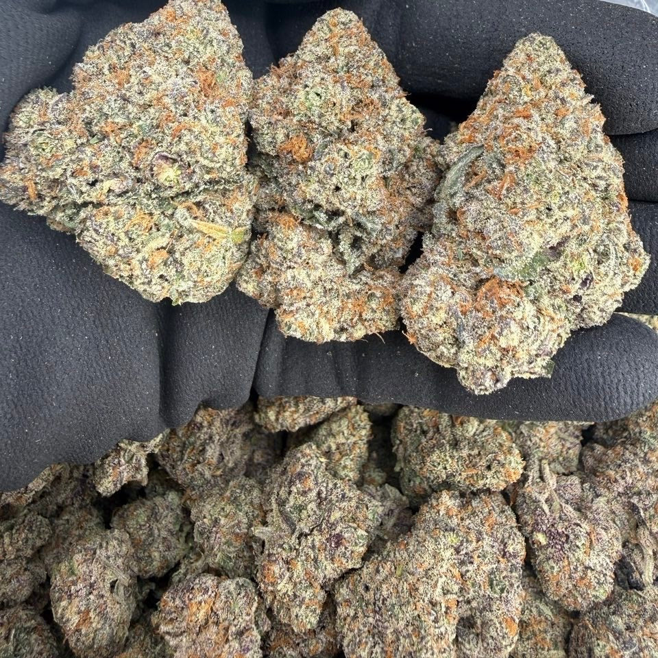 PURPLE PUNCH