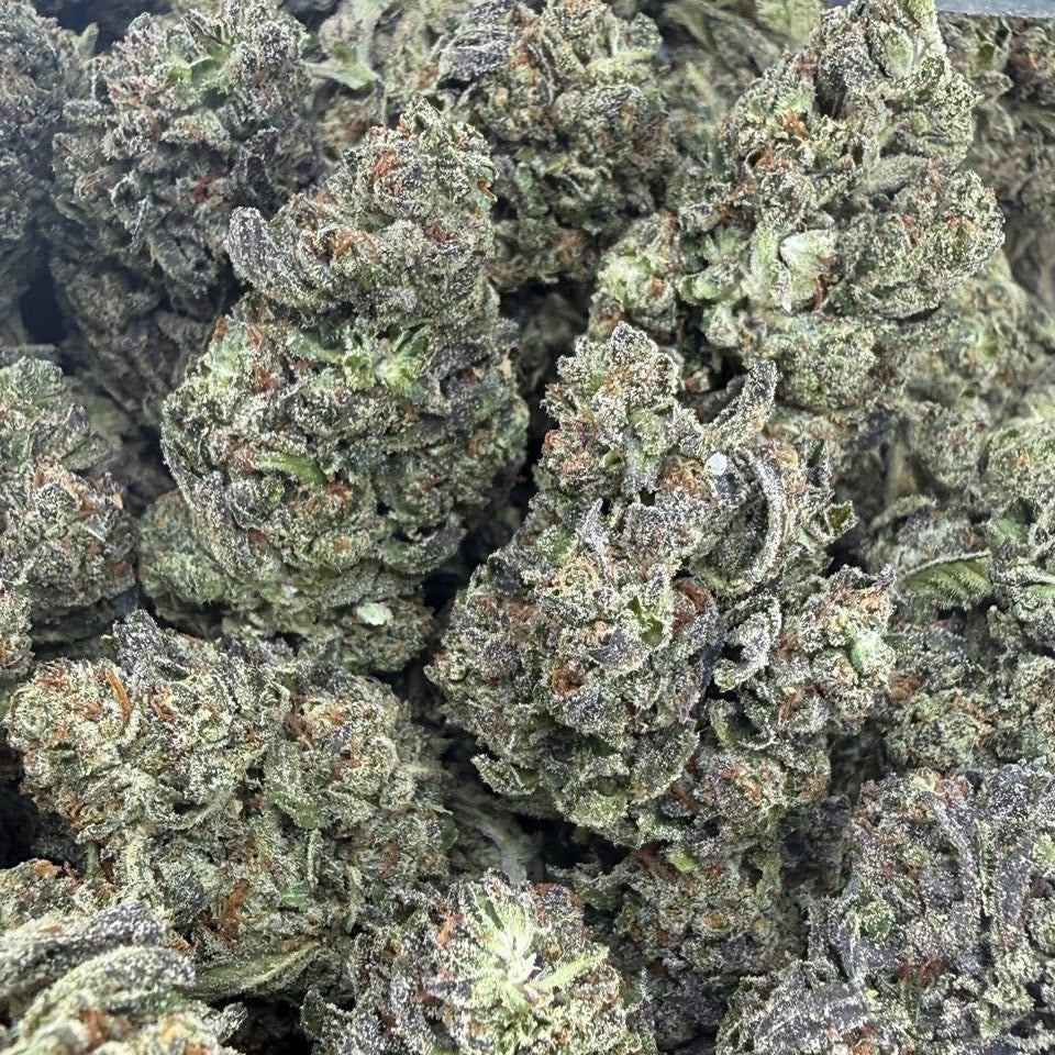 GELATO