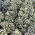 GELATO