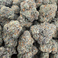 PURPLE PUNCH
