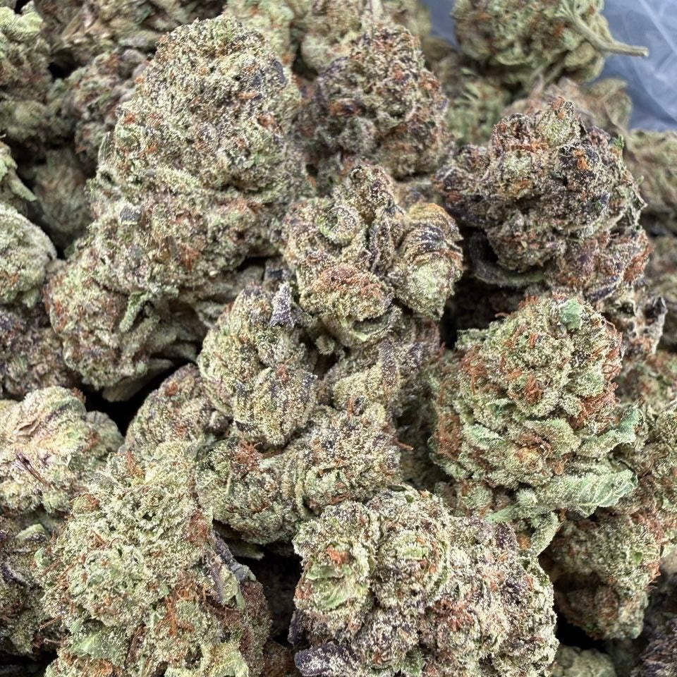 GELATO