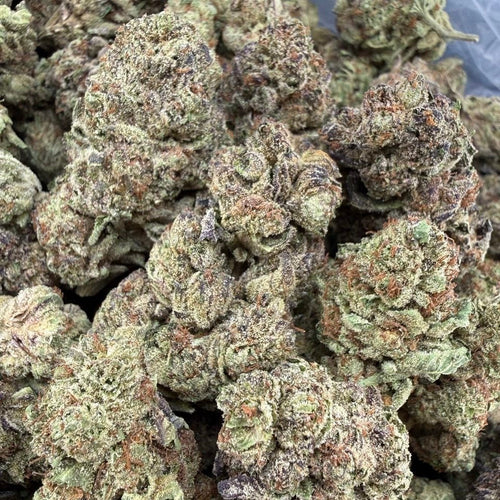 GELATO
