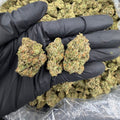 CHEMDAWG (LA) XCLUSIVE