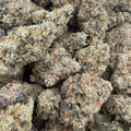 WHITE RUNTZ (LA) XCLUSIVE