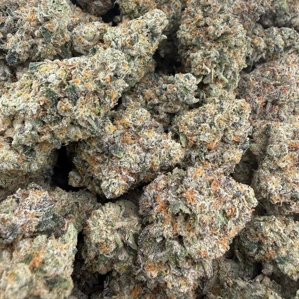 WHITE RUNTZ (LA) XCLUSIVE