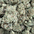 MULE FULE (LA) XCLUSIVE