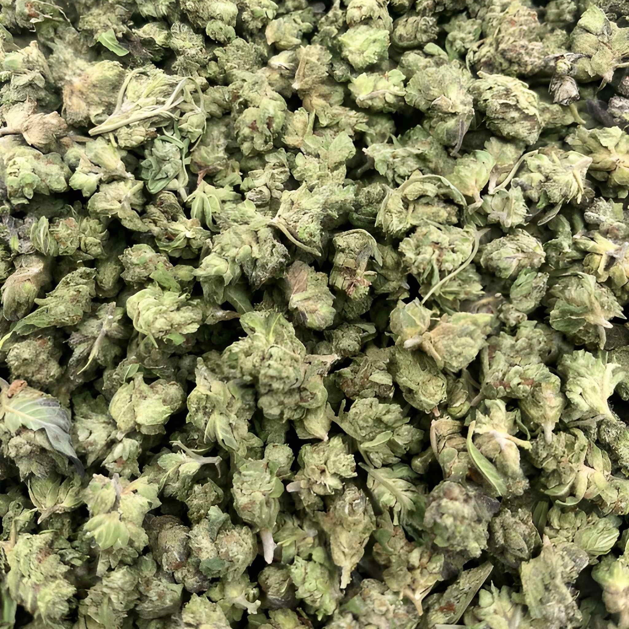 ZKITTLES (LA) XCLUSIVE